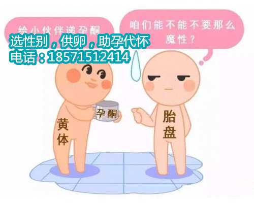 西安代怀价格贵吗,在北京做试管婴儿