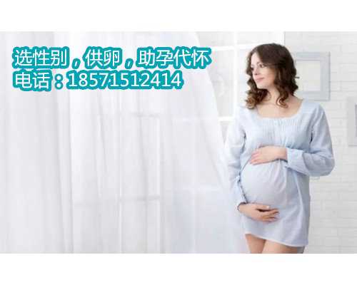 2022西安代怀孕价格表,泰国试管婴儿移植如何养胎