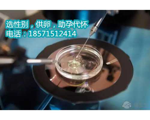 西安供卵试管全部费用,上海仁济医院试管成功率多少
