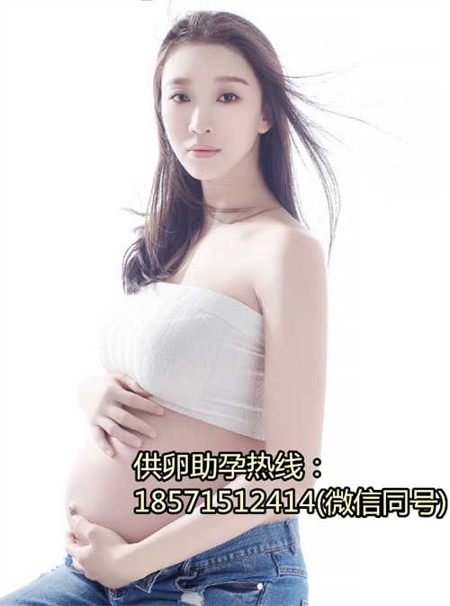 西安供卵助孕费用多少,中国首批体外受精犬（俗称的试管狗）在北京诞生